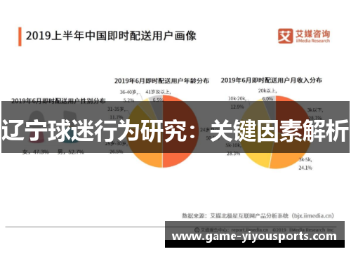 辽宁球迷行为研究：关键因素解析