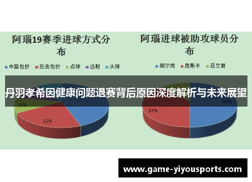 丹羽孝希因健康问题退赛背后原因深度解析与未来展望