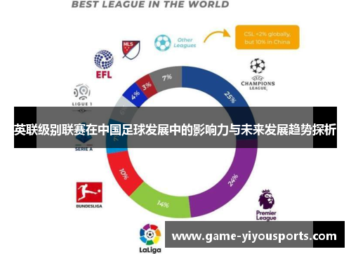 英联级别联赛在中国足球发展中的影响力与未来发展趋势探析